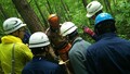 林業体験.JPG