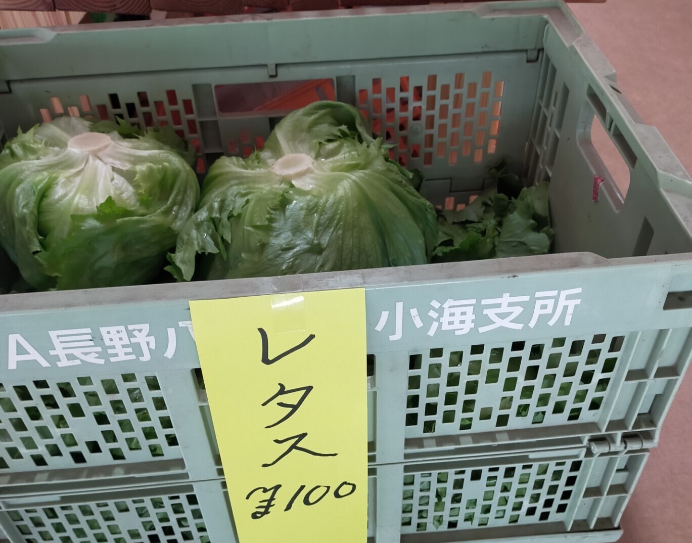 レタス.jpg
